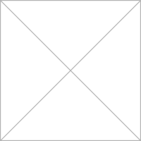 Imagem do autor  Jaqueline - Suporte Técnico no site VGang